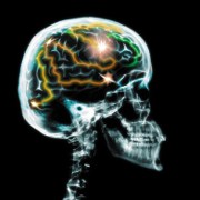 Wellness related image